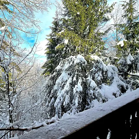 Charming Sunny Duplex Apartament *