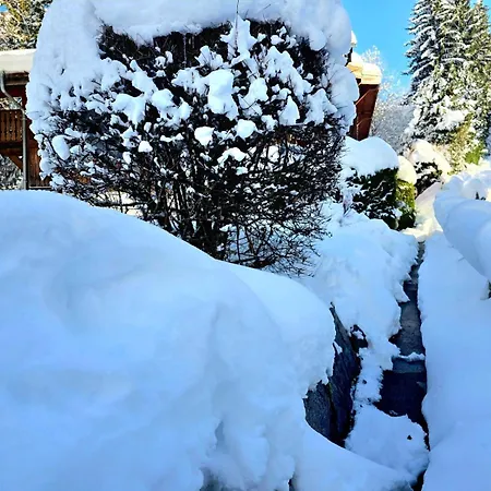 Charming Sunny Duplex Megève
